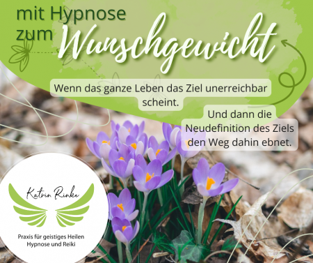 Erfahrungsbericht Wunschgewicht